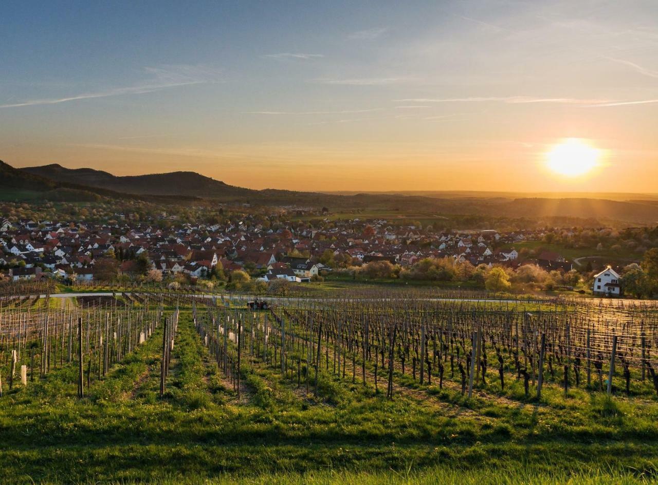 Ferienwohnung Gluiber Beuren  Buitenkant foto