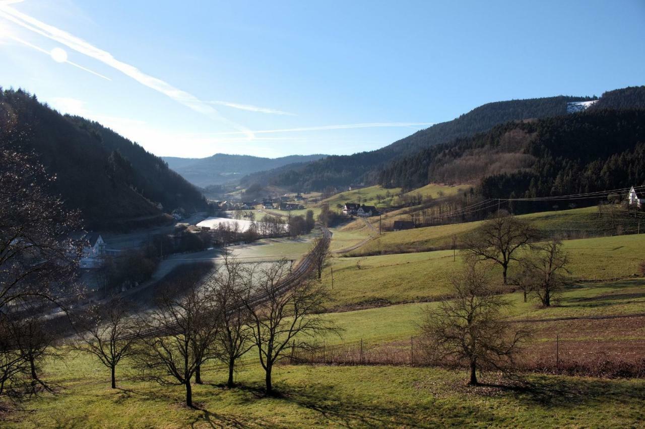 Ferienwohnung Gluiber Beuren  Buitenkant foto